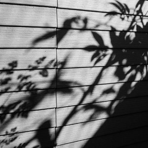 西施裸乳被爆❌白浆漫画
